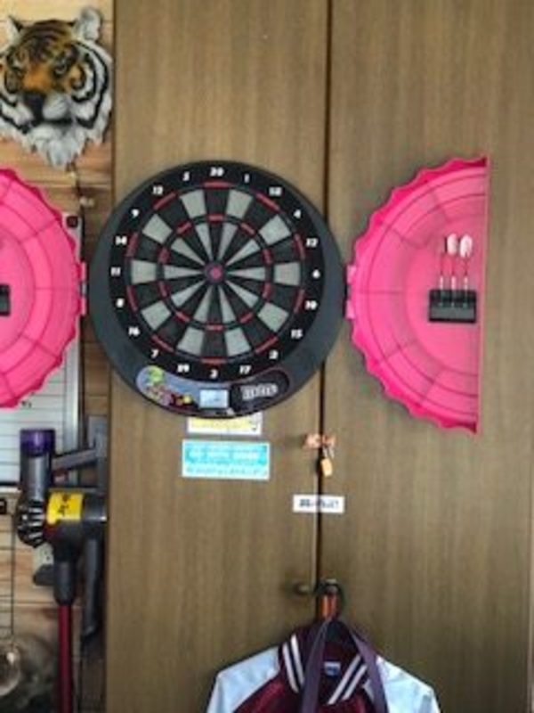 レアなダーツがってきた