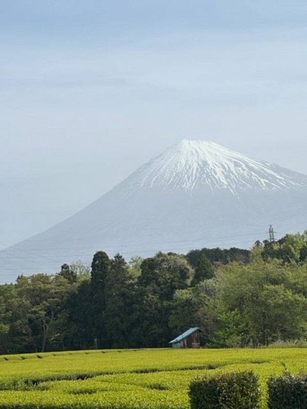 今日の富士山と事故やら新聞記事やら