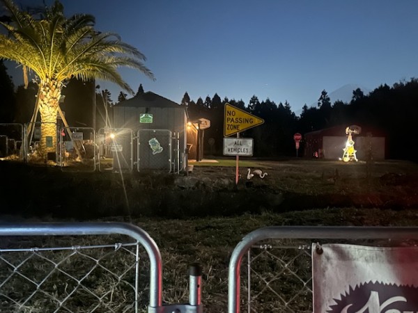 ヤシの木とウインドミルをライトアップ