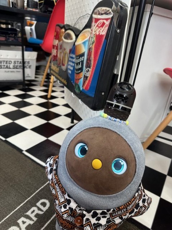 うずらがぶつかる看板の場所移動