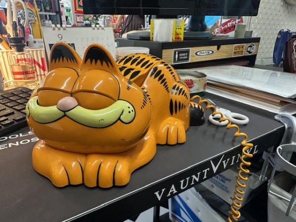 ガーフィールドエリア、充実中