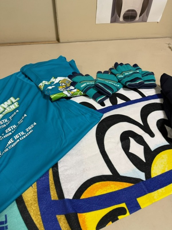 今年こそオービックシーガルズをライスボウルへ