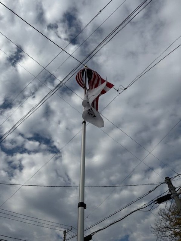 水曜日の富士山とグレーＮＶ